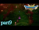 ロトの伝説、ここに始まる。【ドラゴンクエストⅢ実況part9】