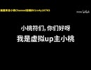 对不起，可能我人品真的有问题【苏枕袖】