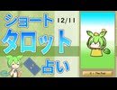 【12/11占い】ずんだもんのショートタロット占い【1日1枚タロット】【2024年版】