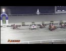2024年12月7日高知競馬5R ＪＢＣ協会協賛高知佐賀スタリオンシリーズ 長浜特別（インディチャンプ賞）(準重賞) ユメノホノオ