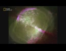 The Lives of The Stars