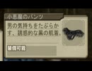 イリスのアトリエ グランファンタズム 実況プレイ Part3