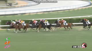 エリカアンディーヴ　2歳新馬