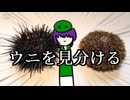 【凶街モルテ】ウニの見分け【実況】