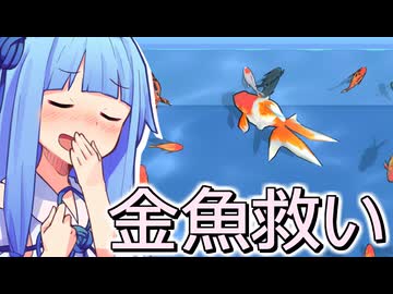 金魚救い【すくって！金魚すくい】