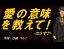 【ニコカラ】愛の意味を教えて!【off vocal】