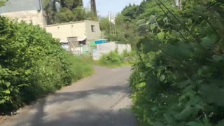 【野外】高尾山を歩いてみる１０