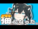 【VOICEROID劇場】猫になった宮舞さん