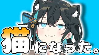 【VOICEROID劇場】猫になった宮舞さん