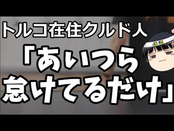 トルコ在住クルド人「川口のクルド人？自分の努力不足を棚に上げてるだけだ」