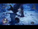 【MHW_IceBorne】#04