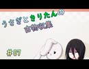 【Dungeon Antiqua】うさきりの古物収集#07【うさきり実況】