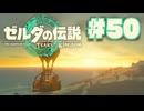 【ぽつぽつ実況 #50】ウィッダ【ティアーズオブザキングダム】