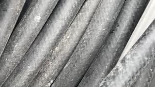 75541004121__5FA78CA8-4C6D-461A-910F-B7A38486C3A6