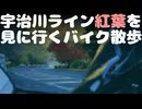 宇治川ライン（瀬田川ライン）と天ヶ瀬ダム　紅葉バイク散歩