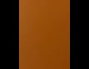 75541520558__5C2B13B2-1ABE-4A7F-94E5-87C5EC6CBC73