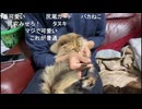 （大仏）ポテト作る（2024/12/07）
