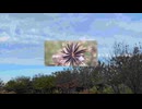 (私は)コアにいる / 可不