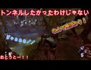 dbd　俺はトンネルしたかったわけじゃない