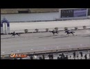 2024年12月8日高知競馬1R ２歳新馬 グラッツェ
