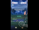 #ポケモンgo #gbl トリデプス マリルリ トゲキッス ガラルマッギョ マリルリ トゲキッス #shorts #ファンタジーカップ #スーパーリーグ  #pokemon