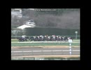 2010 朝日杯ＦＳ (GⅠ)　グランプリボス