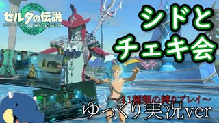 ティアキン全裸ノーダメージ＃8『ゆっくり実況』