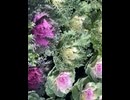 75548878008__B8E284DF-F3B5-4AE1-91D9-A5062574F21F