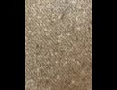 75549514370__C177A1F0-1CB3-4679-9B29-81F1479A32C1