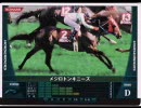 【HORSERIDERS】アホの子が乗るトンキニーズ【伝説その８】