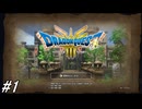 【ドラゴンクエストⅢそして伝説へ…HD-2Dリメイク】ドラクエ３ほぼ初見の男が実況フルボイスプレイ！とりあえず仲間の職業をどうしようか？#1 ※ネタバレ注意【DQ3】