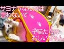 子猫たちのおじいちゃん、サヨナラは言わないべ