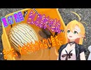 釣り動画ロマンを求めてN 67釣目