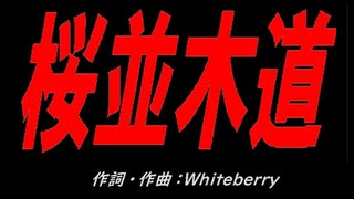 桜並木道