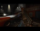 【left4dead2】武器展示アニメーション(第一部)