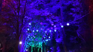 Moon Riverをピアノで弾いてみた(*´∀｀*)