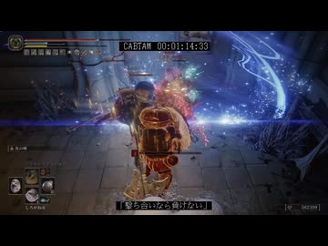 【エルデンリング】ボツカボチャタマネギ Part.21 お蔵入り集