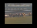 1994 朝日杯 (GⅠ)　フジキセキ