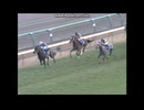 2007 朝日杯ＦＳ (GⅠ)　ゴスホークケン