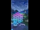 #ポケモンgo #gbl マリルリ トゲキッス ナットレイ ガラルマッギョ マリルリ トゲキッス #shorts #ファンタジーカップ #スーパーリーグ  #pokemon