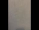 75558719249__78673636-B6D0-4569-9D5A-B7F87A3D140E