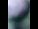 75558808350__8AF57B2D-0A2B-404A-8BE2-9B5FEC2DE709