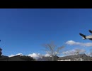 サブ059 ep09　今年のクイーン（優等賞1席）が決まったようです＠三重県松阪市【令和6年度松阪牛まつりへ行ってみた】