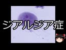 【ゆっくり朗読】ゆっくりさんと不思議な病気 その680