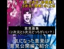 ｛意見募集11｝2次元か？3次元か？どっちが好き？