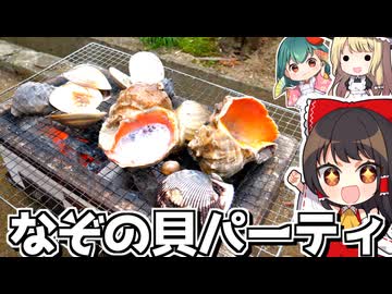 ４種類のレアな貝で焼き貝パーティ✨□どれが一番おいしい貝？ランキング１位は？【料理】【ゆっくり実況】