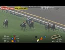 2024 サウジアラビアＲＣ　アルテヴェローチェ　カウントダウンＴＣつき
