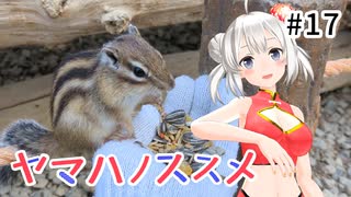 【リスの森】ヤマハノススメ #17 飛騨高山2泊3日 (1日目)【レコスタ車載】