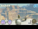 【ゼルダの伝説BotW】初めてのブレワイ！折れない心で未知の世界へ！#5【実況】