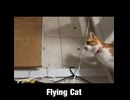 Flying Cat/重音テト、東北ずん子、桃音モモ、和音マコ、デフォ子